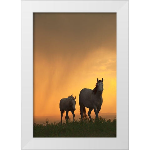 Evening Walk White Modern Wood Framed Art Print by Dawson, Robert