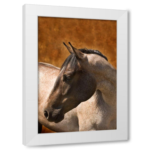 Leos Son White Modern Wood Framed Art Print by Dawson, Robert