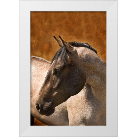 Leos Son White Modern Wood Framed Art Print by Dawson, Robert