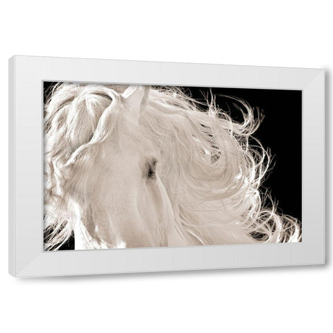 Leonardo White Modern Wood Framed Art Print by Dawson, Robert