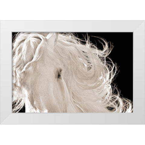 Leonardo White Modern Wood Framed Art Print by Dawson, Robert