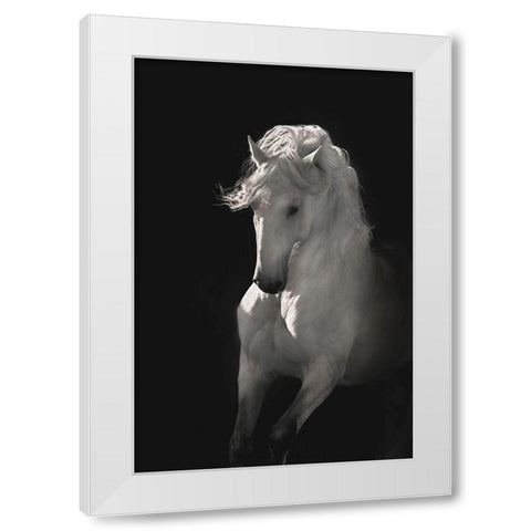 Into the Light White Modern Wood Framed Art Print by Dawson, Robert