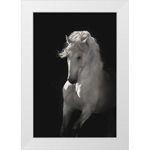 Into the Light White Modern Wood Framed Art Print by Dawson, Robert