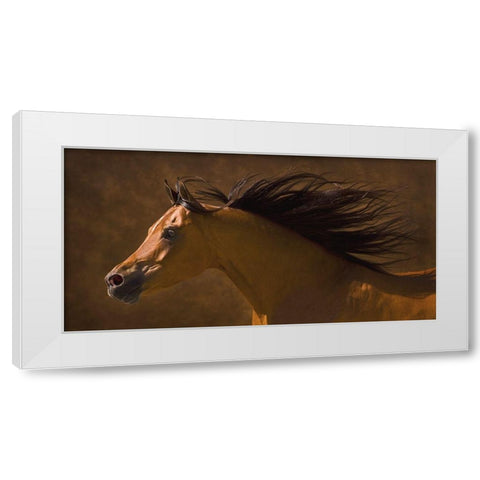 Arabian Runner White Modern Wood Framed Art Print by Dawson, Robert