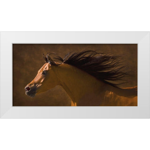 Arabian Runner White Modern Wood Framed Art Print by Dawson, Robert