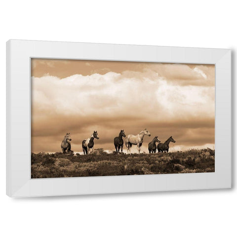 Prairie Song White Modern Wood Framed Art Print by Dawson, Robert
