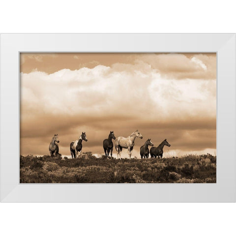 Prairie Song White Modern Wood Framed Art Print by Dawson, Robert
