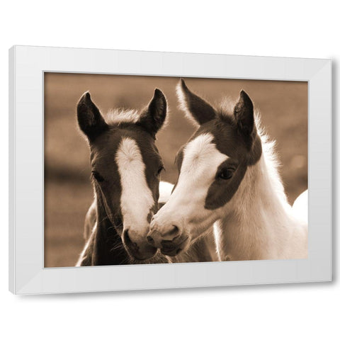 Playful Friends White Modern Wood Framed Art Print by Dawson, Robert