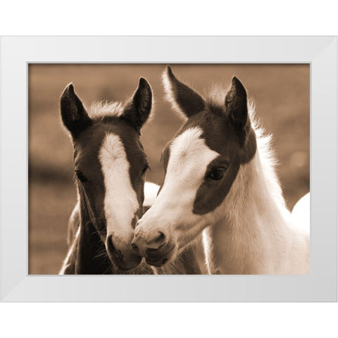 Playful Friends White Modern Wood Framed Art Print by Dawson, Robert