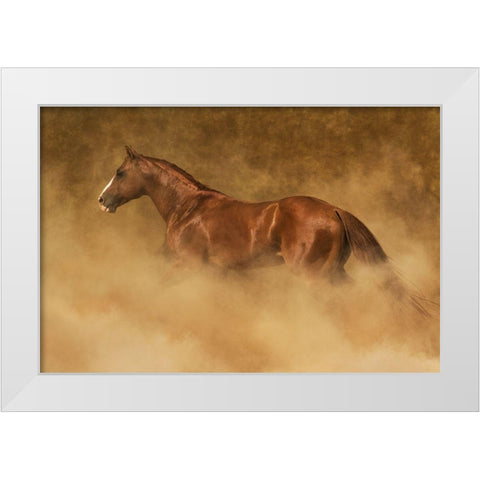 Out of the Dust White Modern Wood Framed Art Print by Dawson, Robert