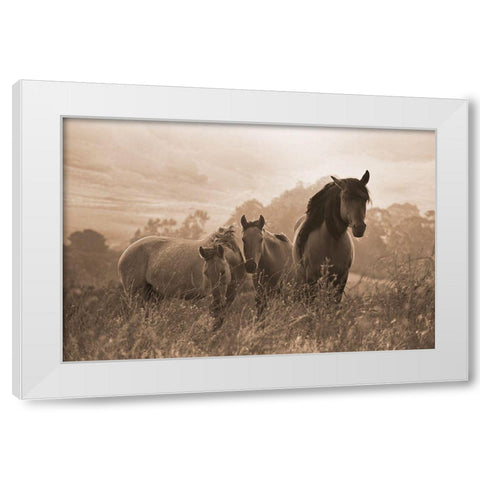 One Spring Morning White Modern Wood Framed Art Print by Dawson, Robert