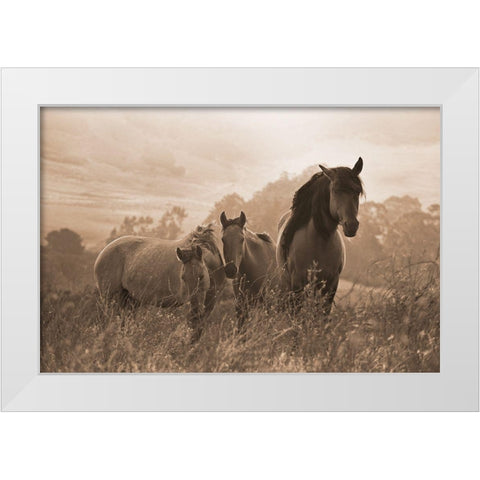 One Spring Morning White Modern Wood Framed Art Print by Dawson, Robert