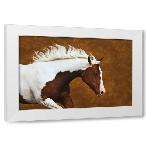 My Little Bella White Modern Wood Framed Art Print by Dawson, Robert