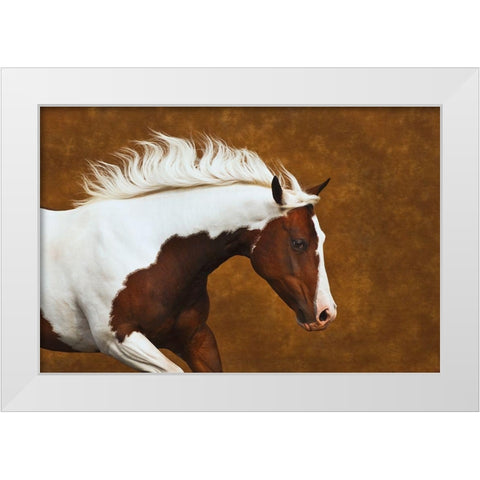 My Little Bella White Modern Wood Framed Art Print by Dawson, Robert