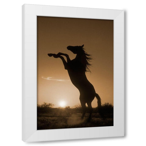 Rearing Horse Silhouette White Modern Wood Framed Art Print by Dawson, Robert