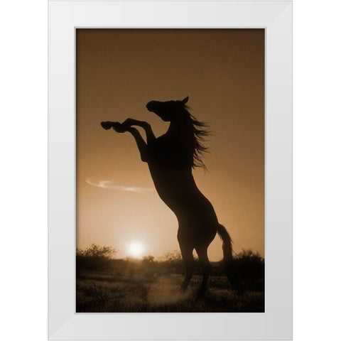 Rearing Horse Silhouette White Modern Wood Framed Art Print by Dawson, Robert