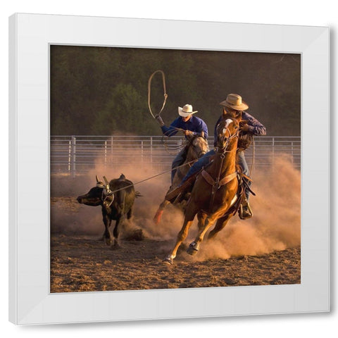 Roping on the Ranch III White Modern Wood Framed Art Print by Dawson, Robert