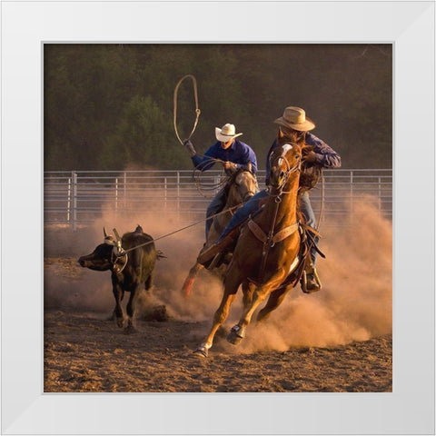 Roping on the Ranch III White Modern Wood Framed Art Print by Dawson, Robert