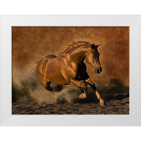Rubys Good Time White Modern Wood Framed Art Print by Dawson, Robert