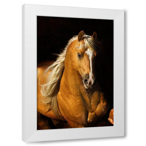 Sherrys Boy White Modern Wood Framed Art Print by Dawson, Robert