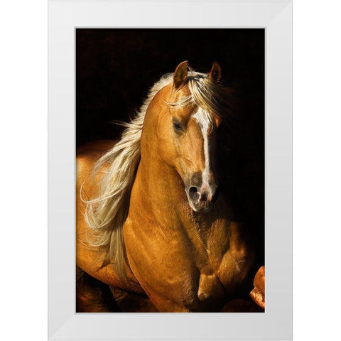 Sherrys Boy White Modern Wood Framed Art Print by Dawson, Robert