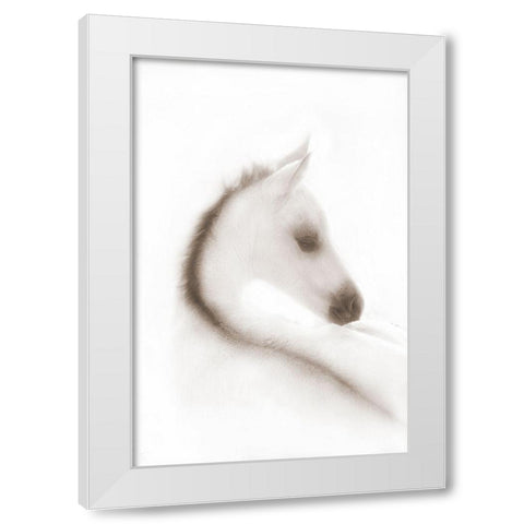 Snow White White Modern Wood Framed Art Print by Dawson, Robert