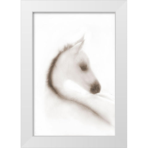 Snow White White Modern Wood Framed Art Print by Dawson, Robert