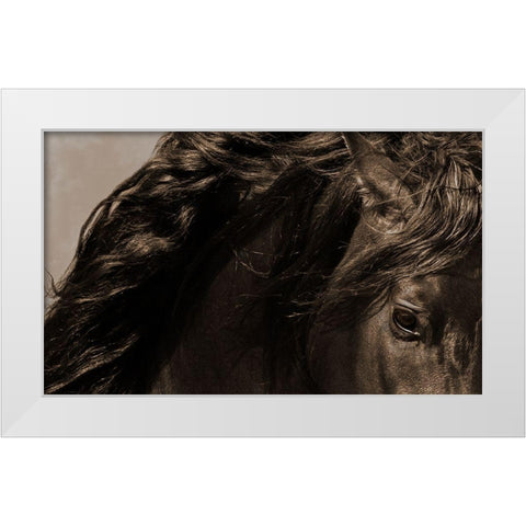 Sheraz White Modern Wood Framed Art Print by Dawson, Robert