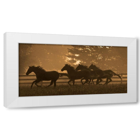 Running For Home II White Modern Wood Framed Art Print by Dawson, Robert