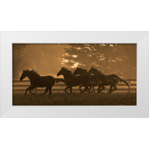 Running For Home II White Modern Wood Framed Art Print by Dawson, Robert