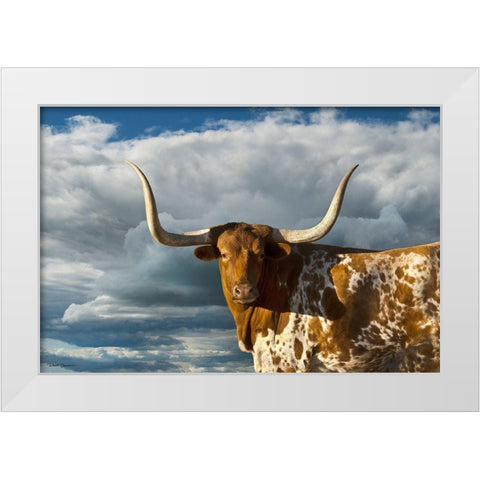Texas Longhorn ~ Color White Modern Wood Framed Art Print by Dawson, Robert