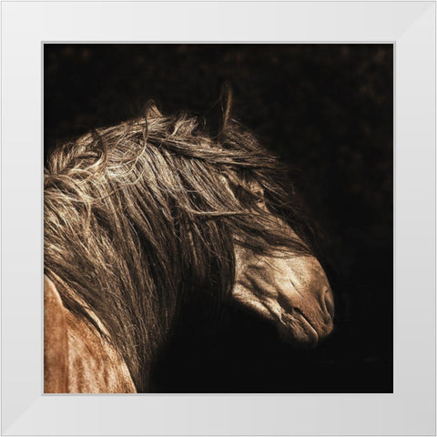 The Dreamer White Modern Wood Framed Art Print by Dawson, Robert