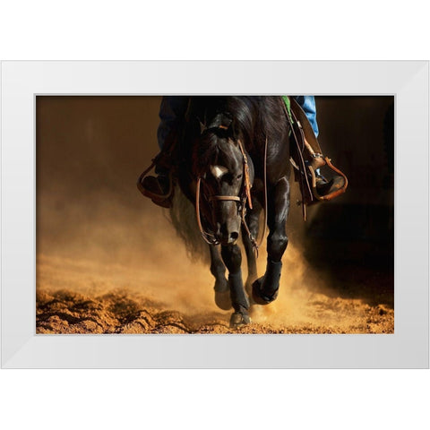 The Reiner White Modern Wood Framed Art Print by Dawson, Robert