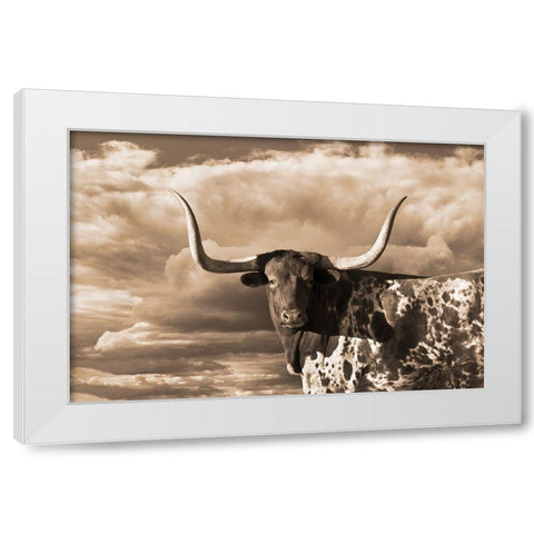 Texas Longhorn ~ Sepia White Modern Wood Framed Art Print by Dawson, Robert