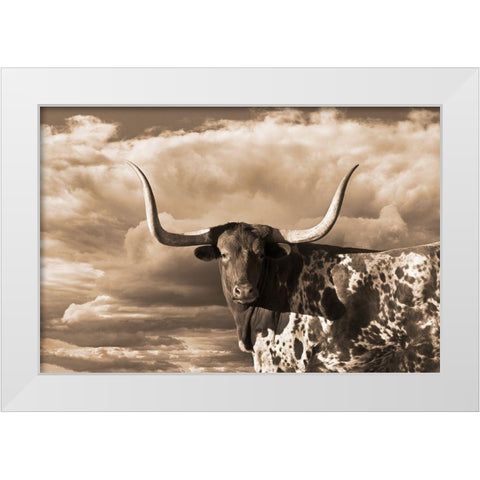 Texas Longhorn ~ Sepia White Modern Wood Framed Art Print by Dawson, Robert