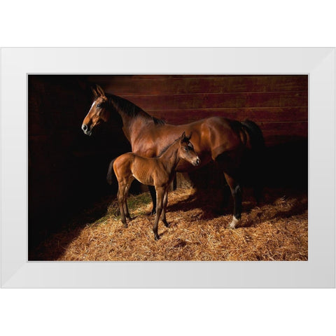 Waiting for the New Boss White Modern Wood Framed Art Print by Dawson, Robert