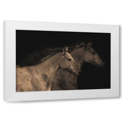 Young Mustangs White Modern Wood Framed Art Print by Dawson, Robert