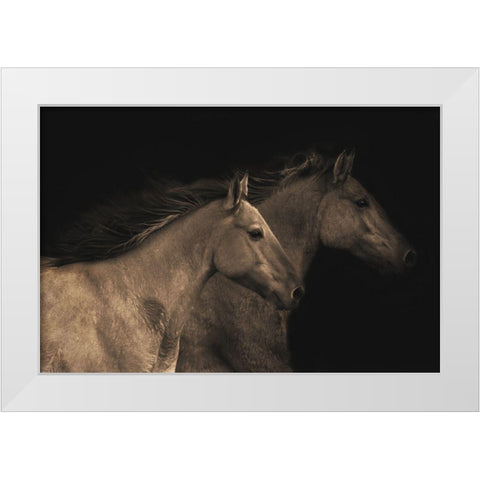 Young Mustangs White Modern Wood Framed Art Print by Dawson, Robert