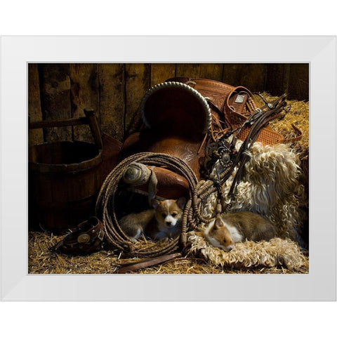 Waiting for the Boss White Modern Wood Framed Art Print by Dawson, Robert