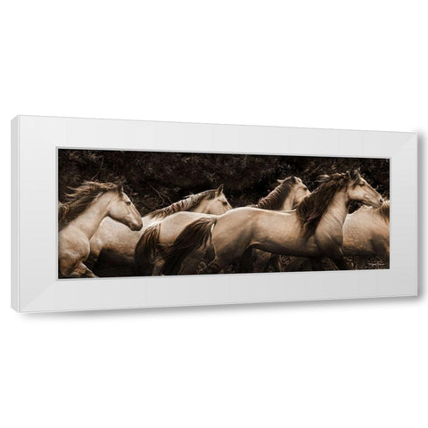 Were Out of Here White Modern Wood Framed Art Print by Dawson, Robert