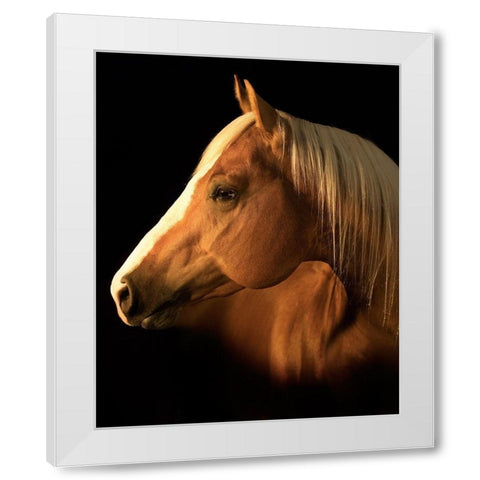 Yellow Jersey White Modern Wood Framed Art Print by Dawson, Robert