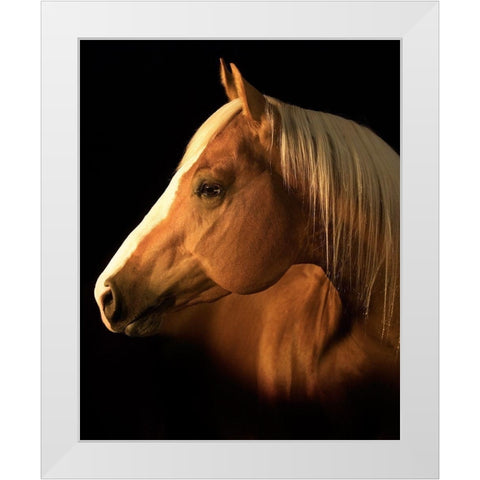 Yellow Jersey White Modern Wood Framed Art Print by Dawson, Robert