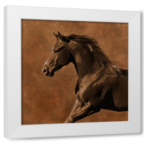 Westward Gallop White Modern Wood Framed Art Print by Dawson, Robert