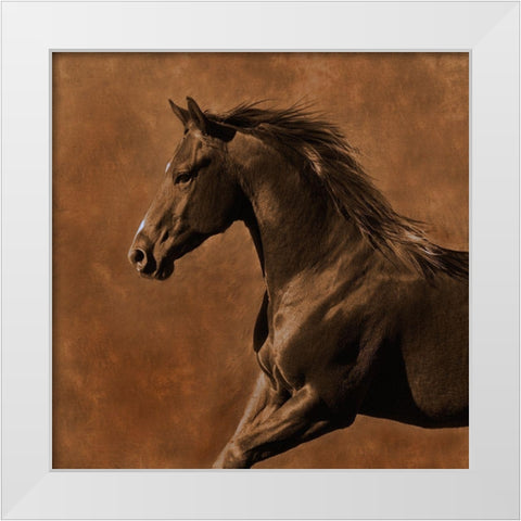 Westward Gallop White Modern Wood Framed Art Print by Dawson, Robert