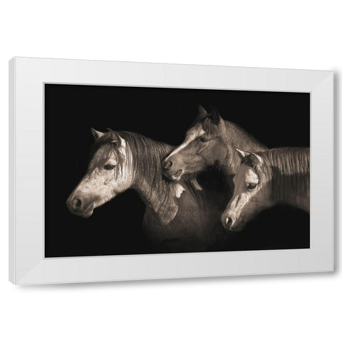 Three Ponies White Modern Wood Framed Art Print by Dawson, Robert