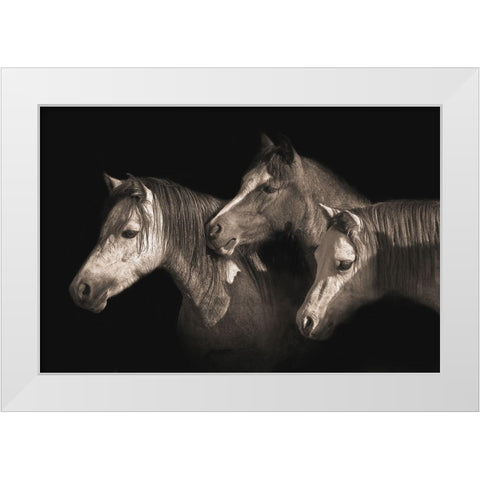 Three Ponies White Modern Wood Framed Art Print by Dawson, Robert