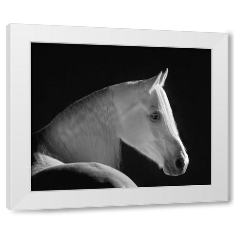 White Shadow White Modern Wood Framed Art Print by Dawson, Robert