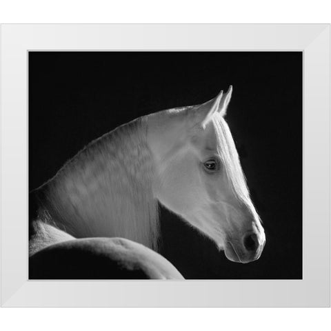 White Shadow White Modern Wood Framed Art Print by Dawson, Robert