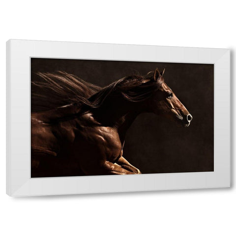 Into the Wind White Modern Wood Framed Art Print by Dawson, Robert