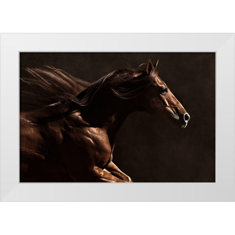 Into the Wind White Modern Wood Framed Art Print by Dawson, Robert